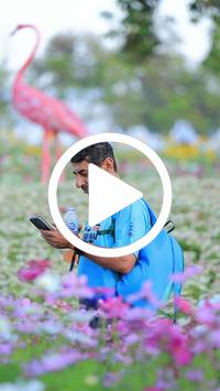 BIB:  <button type="button" onclick="openModal(27583061)" class="btn btn-primary btn-sm float-right" data-toggle="modal" data-target=".modal-high-quality">
                <i class="fa fa-download"></i> Download
                </button>